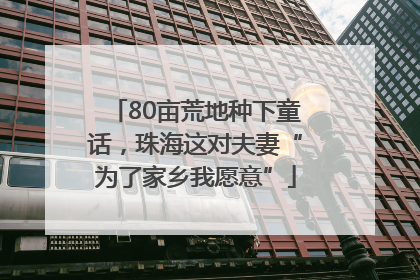 80亩荒地种下童话,珠海这对夫妻“为了家乡我愿意”