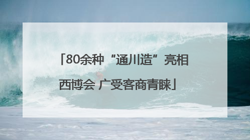 80余种“通川造”亮相西博会 广受客商青睐