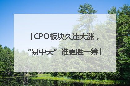 CPO板块久违大涨，“易中天”谁更胜一筹